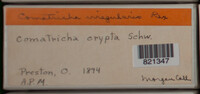 Image Associated With the Occurence
